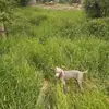Gerard Cotter - @gerard.cotter - TikTok