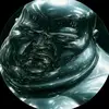 Gerard Cross - @gerard.cross - TikTok