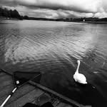 Gerard Cross - @gerardmcgettigan7 - Instagram