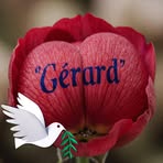 Gerard Godo - Facebook