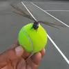 Gerardo Cuevas - @gerardo.cuevas5 - TikTok