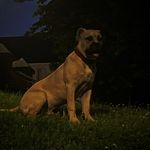 Gerard Cullen - @gerardc227 - Instagram