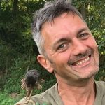 Michael Gérard - @mic.dalton.gerard - Instagram