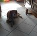 Gerard Daniel - Facebook