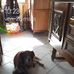 Gerard Daniel - Facebook