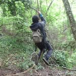 Gerard Daniel - @gerard.daniel.129 - Instagram