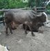 Gerard Davids - Facebook