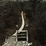 Gerard Devine - @g_f_devine - Instagram