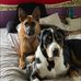 Gerard Dolan - Facebook