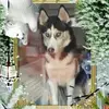 Gerard Dunnewind - @gerard.dunnewind - TikTok