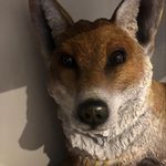 Gerard Dunphy - @gerardmodunphy - Instagram