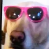 gerardestrella cristian - @gerardestrella353 - TikTok