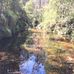 Gerard Evans - Facebook