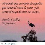Gerard Fahey - @gerardpbgeraldine - Instagram