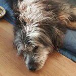 Gerard Feenstra - @gerard.feenstra.1 - Instagram