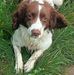 Gerard Ferris - Facebook