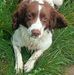 Gerard Ferris - Facebook
