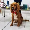 Gerard Franklin Ortiz Rodas - @gerard.franklin.o - TikTok
