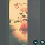 gerardfuller - @gerardfuller2014 - Instagram