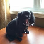 Sarah Gerard Hammond - @sarahs_gerard_hammond - Instagram