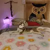 Gerald Horton - @gerald.horton - TikTok