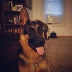 Gerard Houle - @houle1961 - Instagram