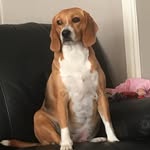 Gerard King - @gerardking4 - Instagram
