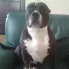 gerardlook - @gerardlook - TikTok