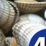 Gerard MacDonald - @gerardmacdonald12 - Instagram