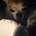 Gerad Mattocks - Facebook