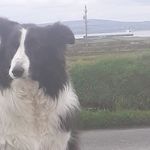 Gerard Mcmahon - @gera.rd3547 - Instagram
