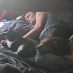 Gerard McManus - @jerrylikesdogs - Instagram