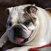 Gerard J. McNulty Jr. - Facebook