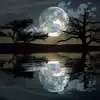 Gerarda McNulty - @gerarda.mcnulty - TikTok