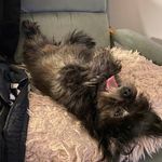 Gerard Edward Normand - @gerard.normand.73 - Instagram