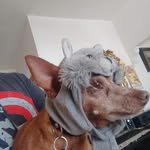 Gerard Ochoa - @gerard.ochoa.961 - Instagram