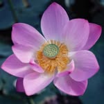 Malcolm Gerard Pearce - @malcolmgerardpearce - Instagram
