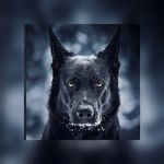 L.G.P.G. - @gerard__perez__ - Instagram