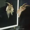 jordan h - @gerard.pierce2 - TikTok