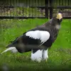 gerard.karper.visser - @gerard.post.0 - TikTok