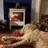 Gerard Saunders - @gerard.saunders0 - TikTok