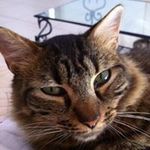 Gérard Simon - @gerardsimon7500 - Instagram