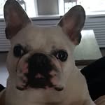 Gerard Smit - @gerardsmit18 - Instagram