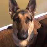 Gerard Sullivan - @gerardsullivan6717 - Instagram