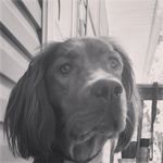 Gerard Sullivan - @gerards1213 - Instagram