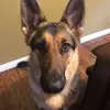 gerardsullivan5 - @gerard.sullivan65 - TikTok