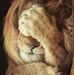 Gerhard Wolff - Facebook