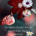 Gerardo Aceves - Facebook