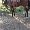 Gerardo Alejo - @gerardoalejo20 - TikTok
