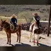 @geraarroyo7 - @gerardoarroyo727 - TikTok